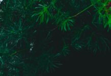 체력 증진과 체중 감량을 위한 운동 및 식단 전략 mug with nuts and milk