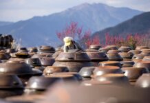 전통 장 문화 계승!… ‘금천강희맹장독대’ 프로그램 운영 a large group of clay pots sitting on top of a field