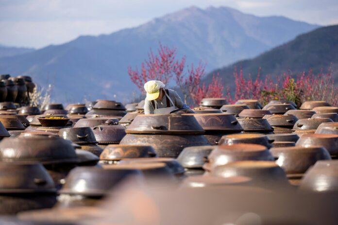 Photo by Photos of Korea a large group of clay pots sitting on top of a field