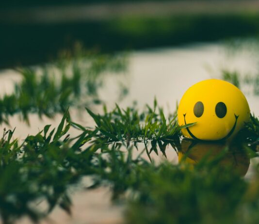 운동과 식습관 관리로 체중 감량 성과 달성 a yellow ball with a smiley face sitting in the grass