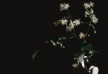 운동할 때 수분 섭취, 얼마나 마셔야 할까? clear drinking glass and sliced lemons on wooden surface