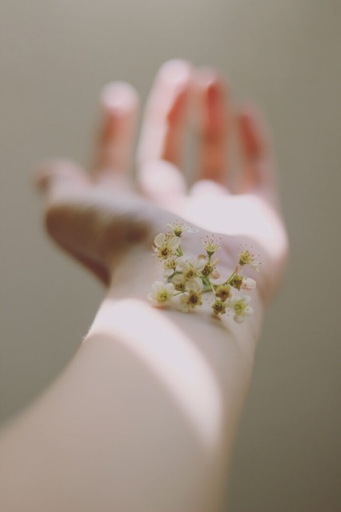 Photo by Carolina Heza selective focus photography of white clustered flowers on left human hand