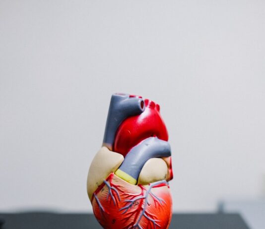“갑자기 심장이 쿵쾅거려요”… 이것도 스트레스의 신호일까요? red and yellow bird figurine