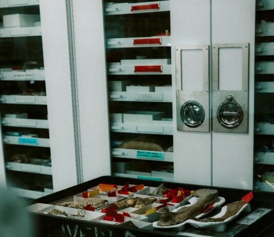 올바른 식단이 건강을 좌우한다…균형 잡힌 식생활의 중요성 Shoes and materials are set on a work cart.