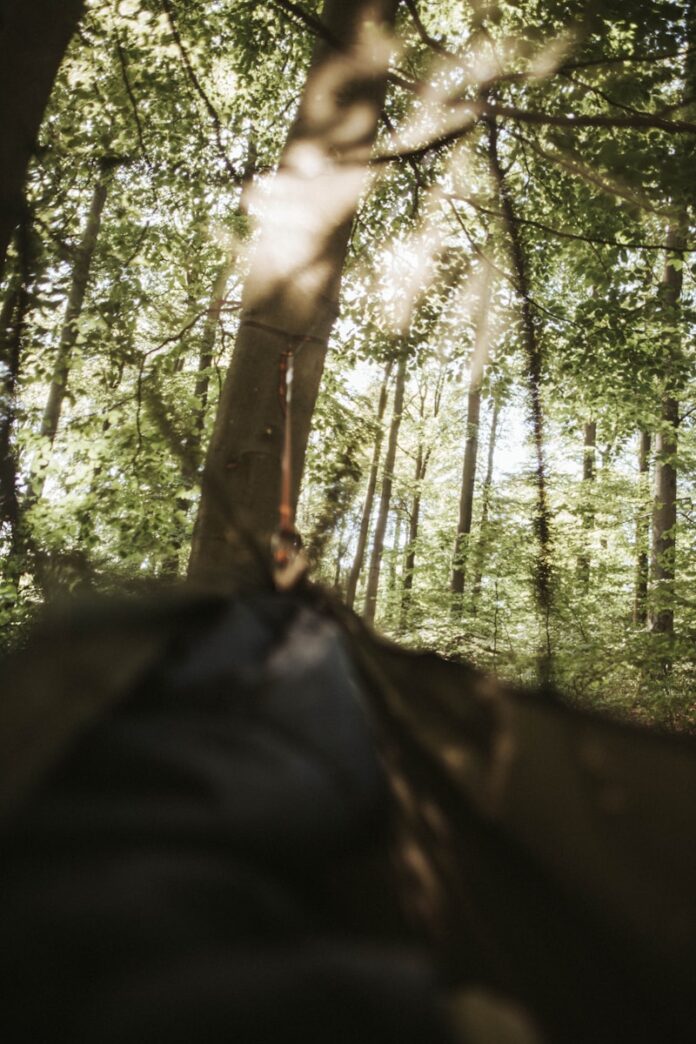 Photo by Pampa Explorer person holding black textile in forest during daytime