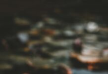 “마음도 운동이 필요하다”…디지털 시대, 정신건강 관리의 새로운 트렌드 pink and white lotus flower