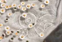 내 삶에 스며드는 웰니스 문화, 실천하는 일상 속 작은 변화들 white and blue floral textile
