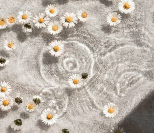 내 삶에 스며드는 웰니스 문화, 실천하는 일상 속 작은 변화들 white and blue floral textile